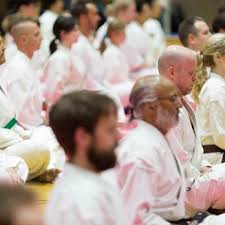 Image result for Harrow Shorinji Kempo
