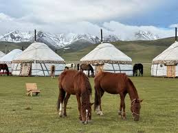 Image result for Nomads