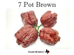 Afbeeldingsresultaat voor 7 pot hot pepper