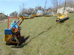 Image result for marolin tehron