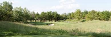 Image result for Flint Golf Club