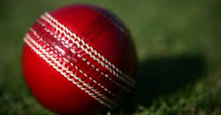 Image result for Whittle and Clayton Cricket Club