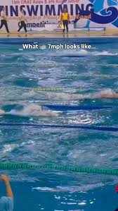 Image result for Swansea Finswimming Club