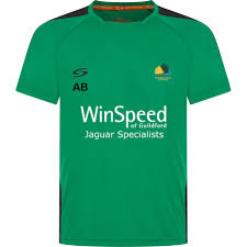 Image result for Wood Street Village Cricket Club