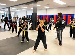 Image result for Impact Martial Arts