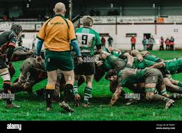 Image result for Hayle Rugby Football Club