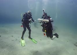 Image result for Chiltern Divers