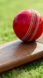 Image result for Hampole & Skelbrooke Cricket Club