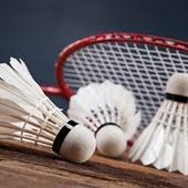 Image result for Experian Badminton Club