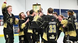 Image result for Team-Tigers Roller Hockey Club