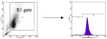 Attēlu rezultāti vaicājumam “Tranzschelia pruni-spinosae spores”