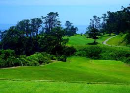 ネタ枯れ에 대한 이미지 검색결과