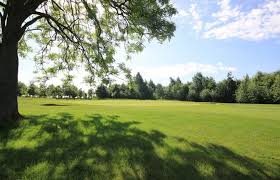 Image result for Greetham Valley Golf Club