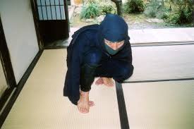 Image result for Hertfordshire Iga Ryu Ninjutsu