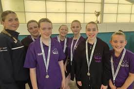 Image result for South Yorkshire Swans