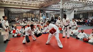 Image result for Everitt Karate Academy