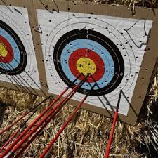 Image result for Frome Valley Archers