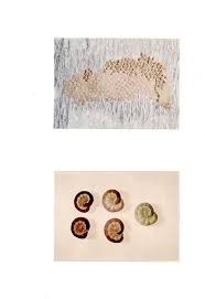 Attēlu rezultāti vaicājumam “Mamestra brassicae pupa”