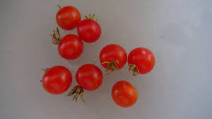 Afbeeldingsresultaat voor hawaiian white cherry tomato