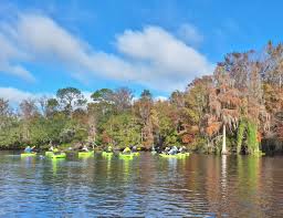 Image result for Bute Kayak Club