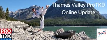Image result for Thames Valley Karate