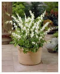 Image result for tränendes Herz