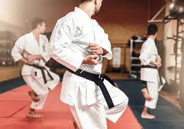 Image result for David Fuller Karate