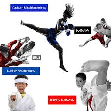 Image result for Precision Martial Arts