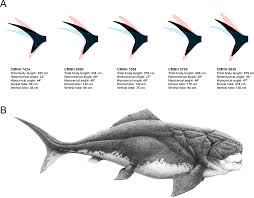 Attēlu rezultāti vaicājumam “Placodermi”