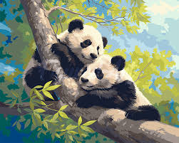 Résultat de recherche d'images pour "pandas"