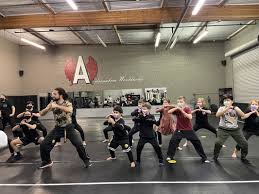 Image result for Bushido Academy Of Martial Arts (Bama)