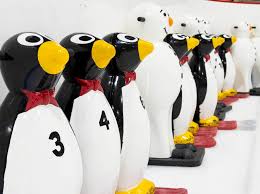 Image result for Stirling Ice Rink Sports Club