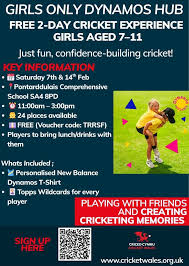 Image result for Pontarddulais Cricket Club