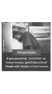 Image result for 241543903