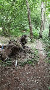 Image result for Long Eaton Field Archery Club