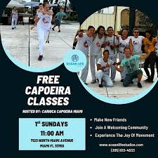 Image result for Capoeira Classes