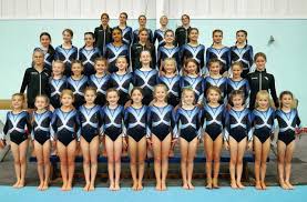 Image result for York University Gymnastics Club