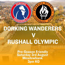 Image result for Dorking Wanderers F C