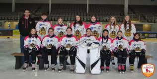 Image result for Haringey Junior Ice Hockey Club