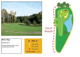 Image result for Broome Manor Golf Club