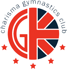 Image result for Haverfordwest Gymnastics Club