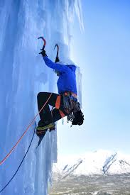 Attēlu rezultāti vaicājumam “Trichia alpina young”