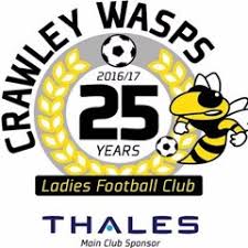 Image result for Wasps Football Club