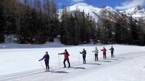 Image result for Scandinavian slope and cross country skiing