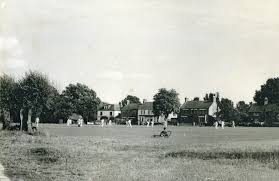Image result for Wood Street Village Cricket Club