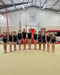 Image result for Exeter Gymnastics Club