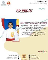 Image result for Silat Pd (Perisai Diri) UK