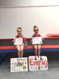 Image result for North Devon Display Gymnastics Club