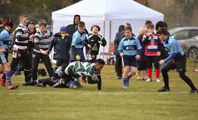 Image result for Farnham Royal Rufc