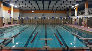 Image result for Leek Swimming Club